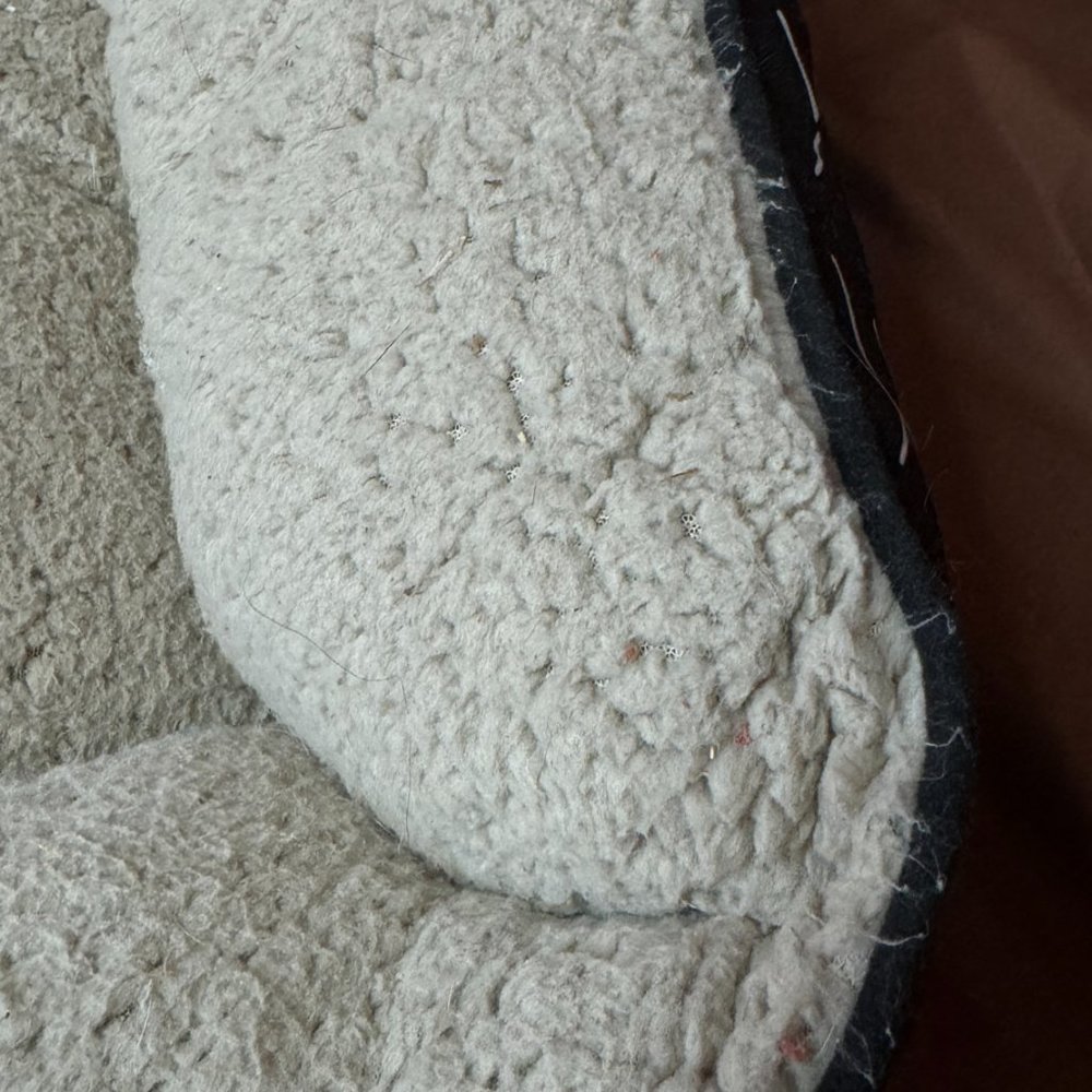 Medium/large Dog bed - Picture 2 of 6